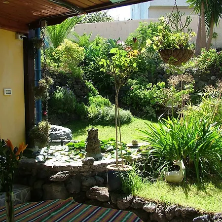 Daire F3884 Studio In El Tanque *