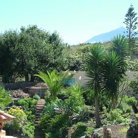 Apartment F3884 Studio In El Tanque *